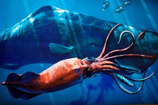 Магазин веществ кракен