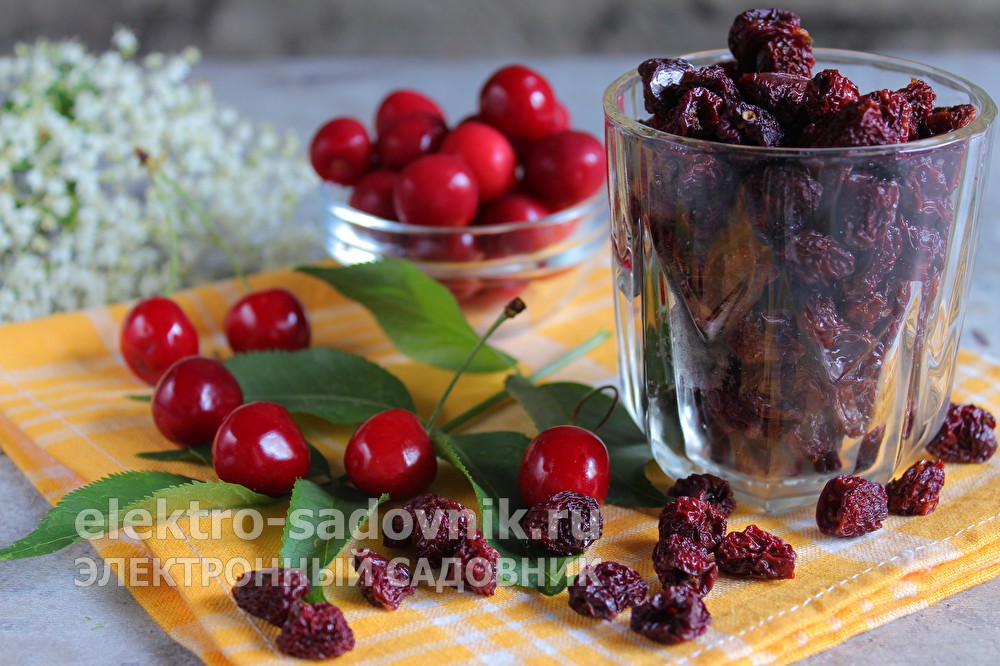 Тор для кракена